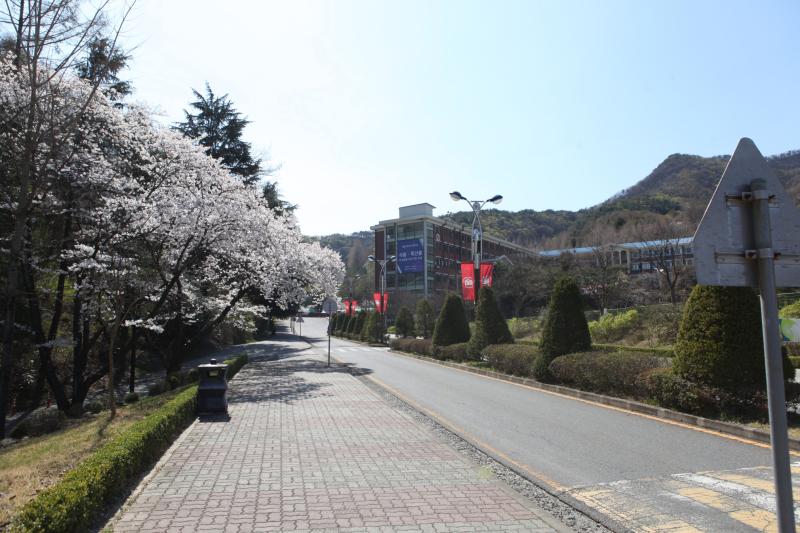 봄기운 가득! 중부대학교 충청캠퍼스를 소개합니다 사진1