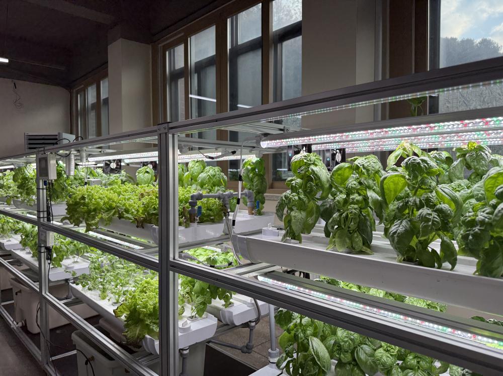 스마트팜 수경재배실 사진1