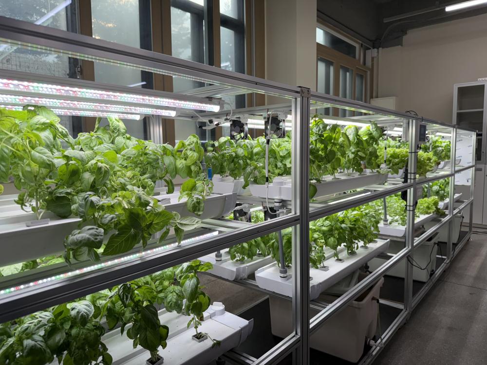 스마트팜 수경재배실 사진2