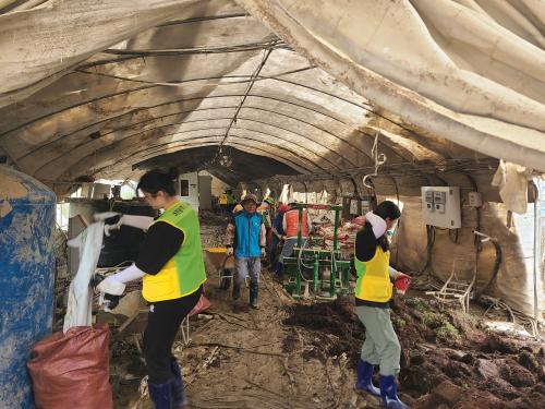 대전광역시동구자원봉사센터 '청양군 수해피해지역 복구지원 봉사활동' 진행