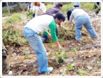 종인이 조아라 하는데..