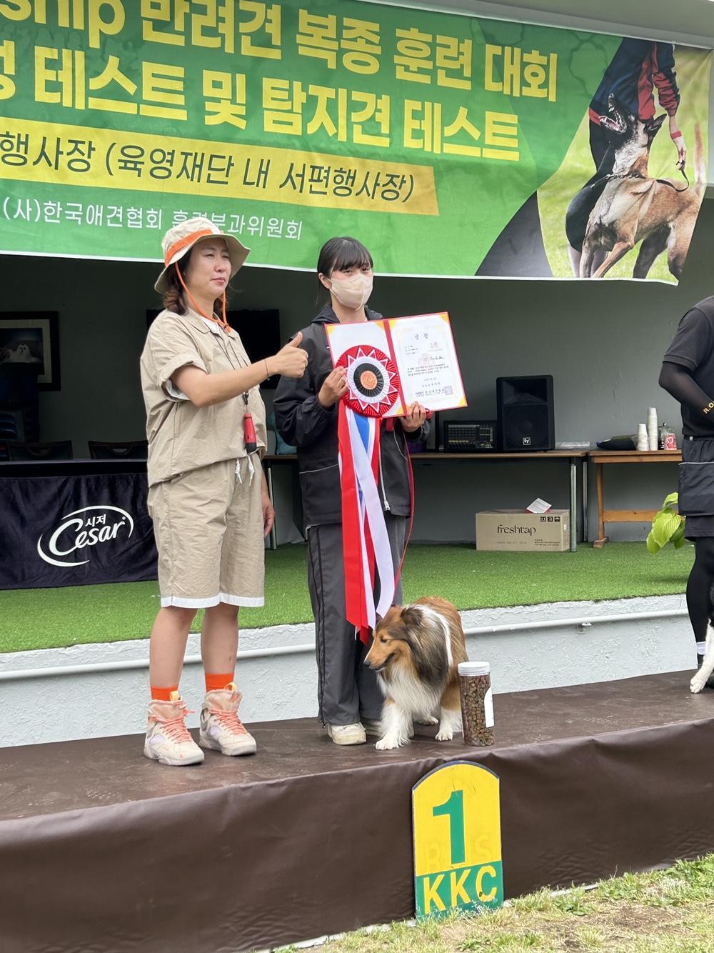 2024 kkc 어질리티 경기 대회 1위 석권! 사진1
