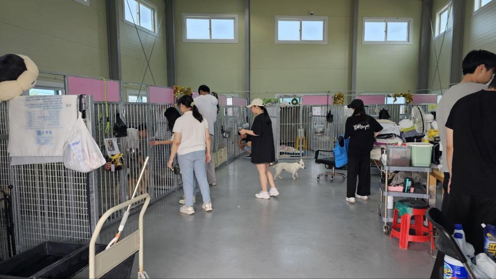 반려동물보건학과 2025-1학기 유기견 보호소 봉사 활동 사진2
