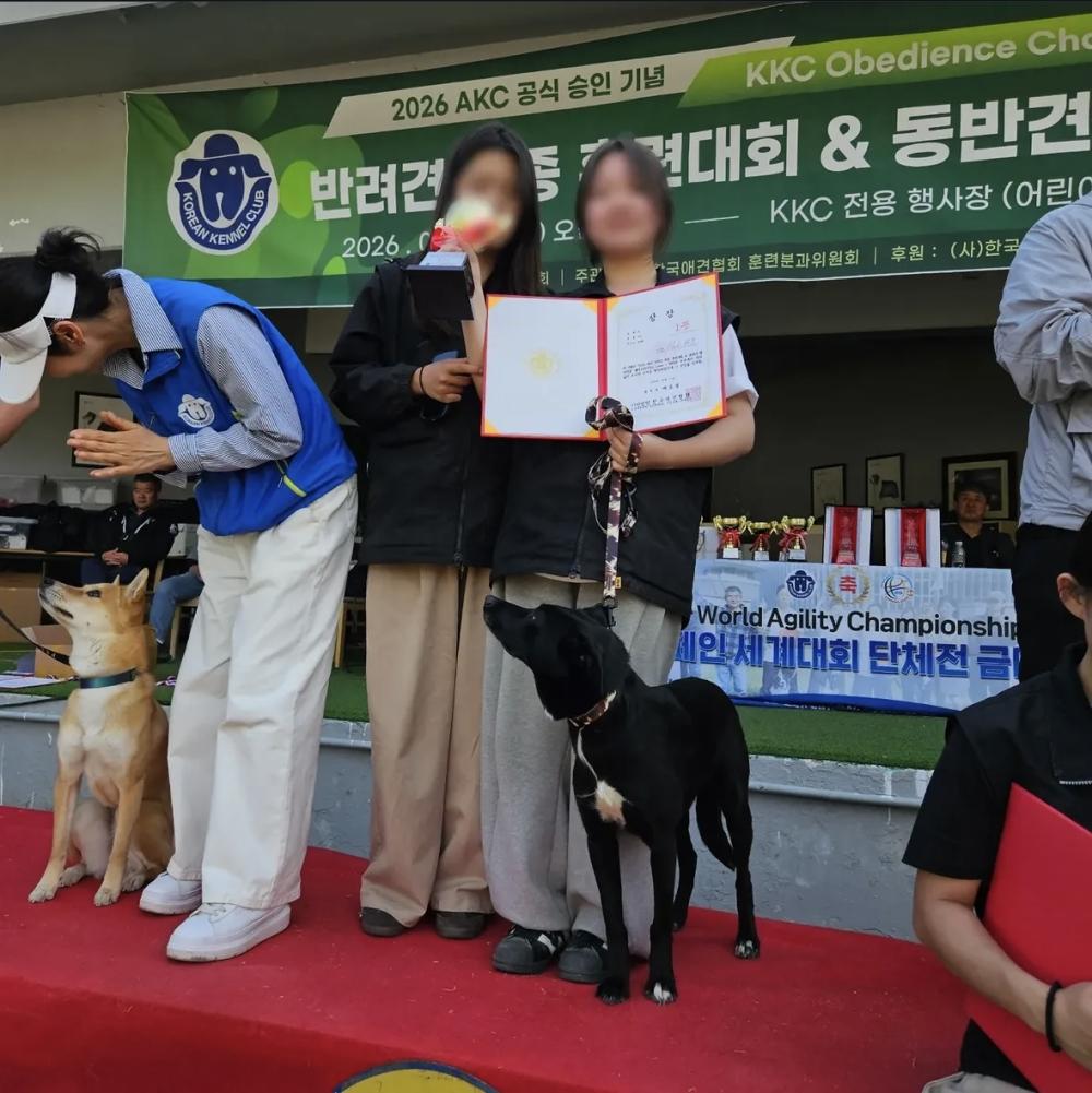 동물보건학과 및 동물사육학전공 2026년 KKC 반려견 복종 훈련대회 우수한 성과 사진1