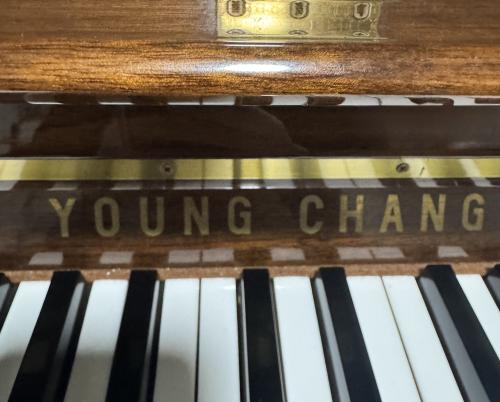 🎹 익숙한 피아노, 자세히 들여다보기