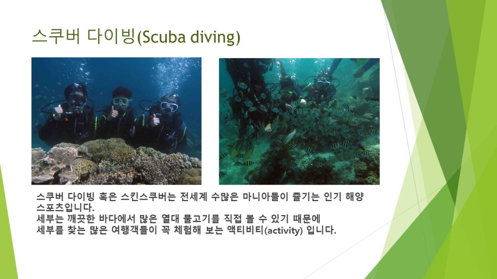 필리핀 세부(CEBU) 즐길거리 사진1