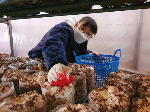 [밀알복지관] 2021년도 3월 행봉어울림농장 봉사활동