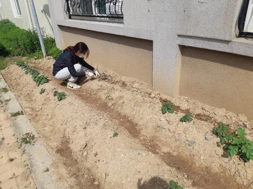 [대전광역시시립둥지어린이집] 2021년도 4월 NEST 생태텃밭 산학협력 교류활동