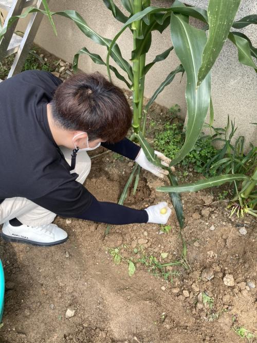 [대전광역시립둥지어린이집] 2021년도 7월 NEST 생태텃밭 산학협력 교류활동