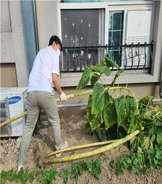 [대전광역시립둥지어린이집] 2022년 9월 NEST 텃밭생태놀이 봉사활동