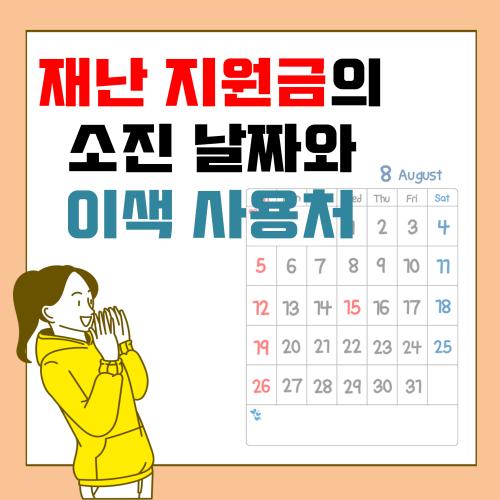 [카드뉴스] 재난 지원금의 소진 날짜와 이색 사용처