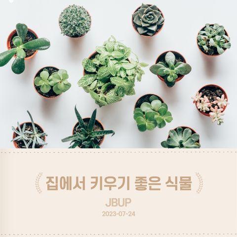 [카드뉴스] ‘집에서 키우기 좋은 식물'