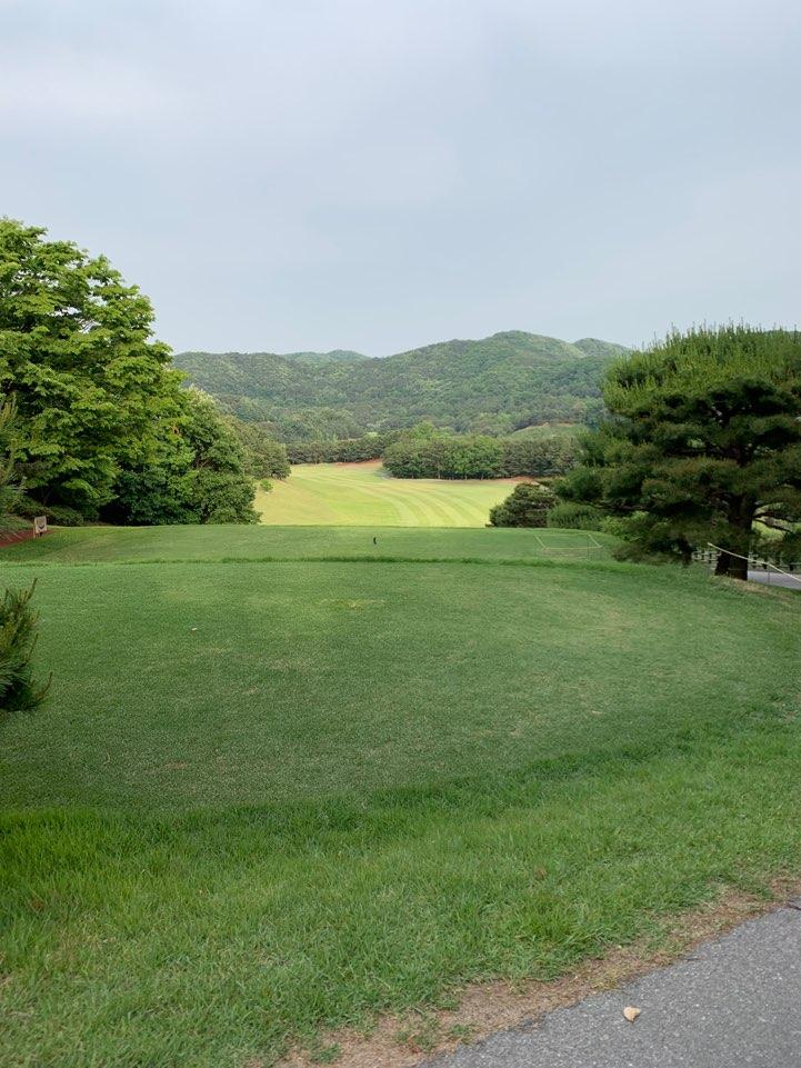 골프 동아리 기흥CC 견학 사진2